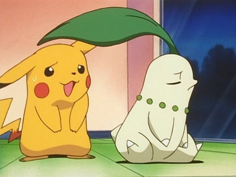 Chikorita, a temperamental!