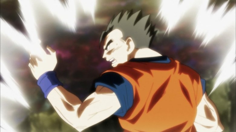 Gohan, Não Tenha Piedade! A Batalha Contra o Universo Dez!!